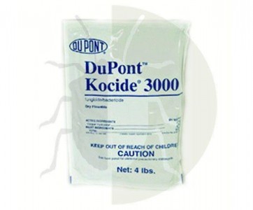 Kocide 2000