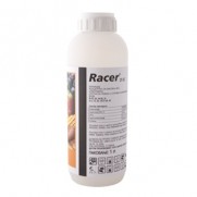 RACER 25 EC