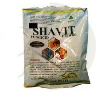 Shavit  72 WDG