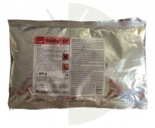 Stroby DF