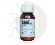 Goal 4F
