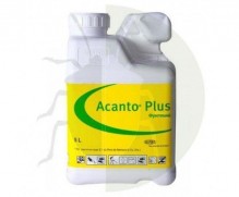 Acanto Plus