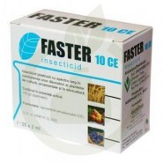 Faster 10 CE  